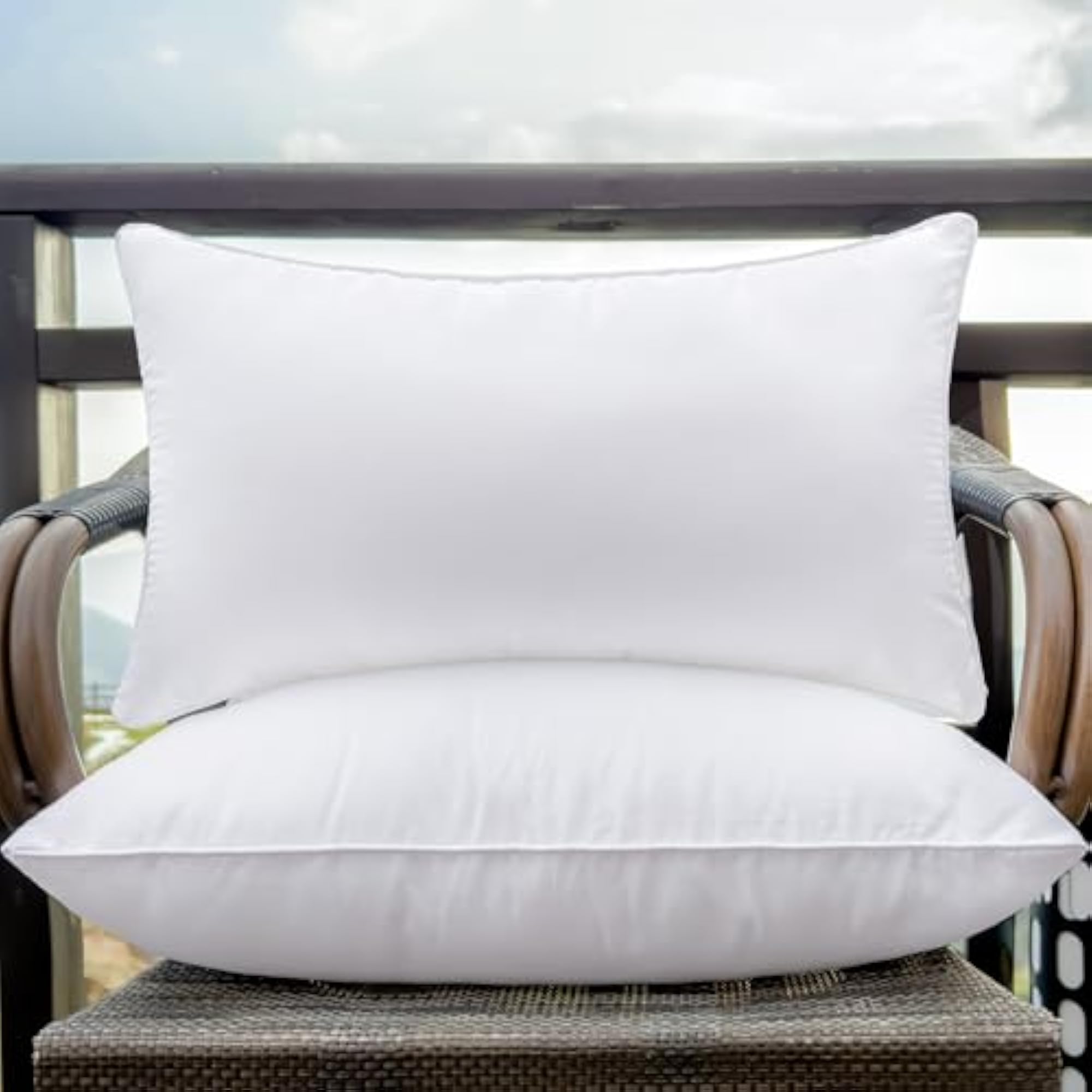 Throw Pillow Inserts, Pack of 2, Waterproof